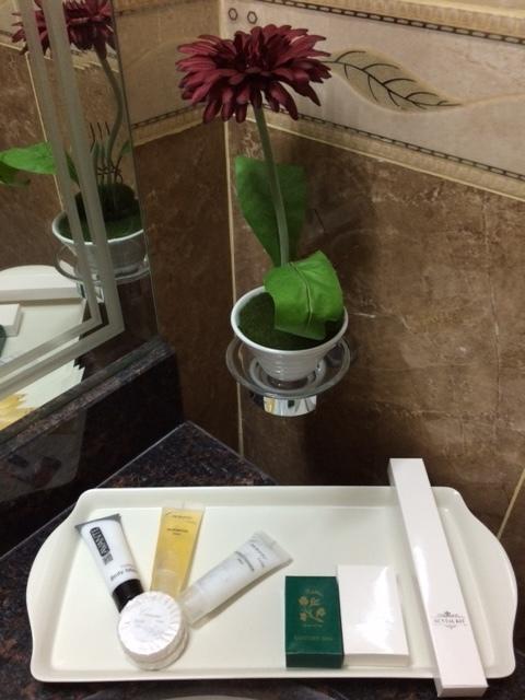 Doha Dynasty Hotel Rom bilde